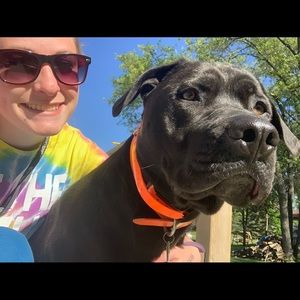 Meet your Posher, Kara